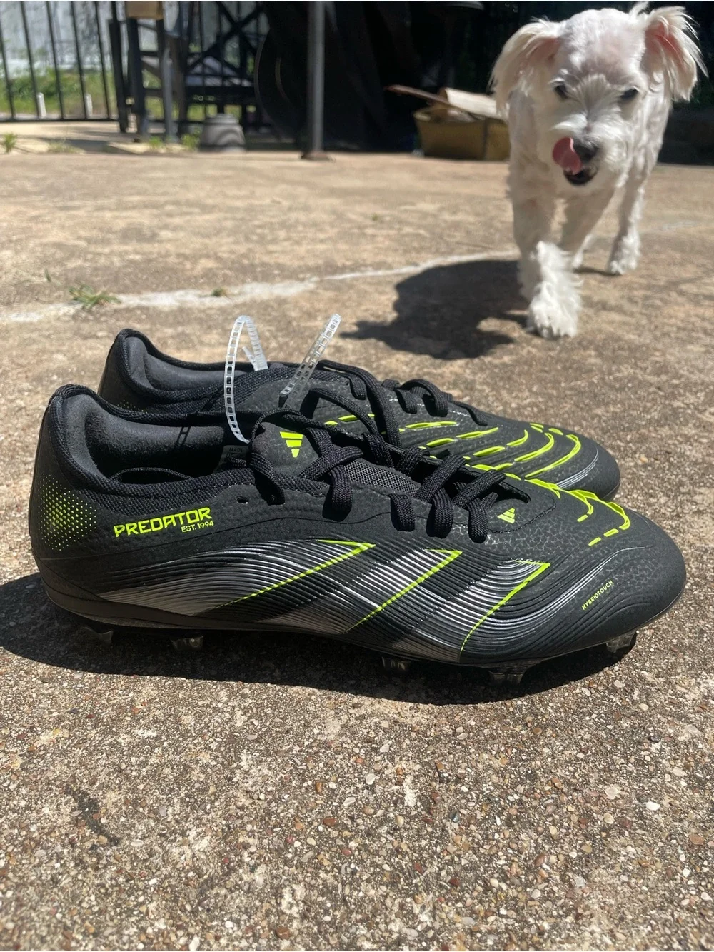 adidas Predator Pro FG Elite Electric Stealth Pack 6.5M/7.5W NEW!